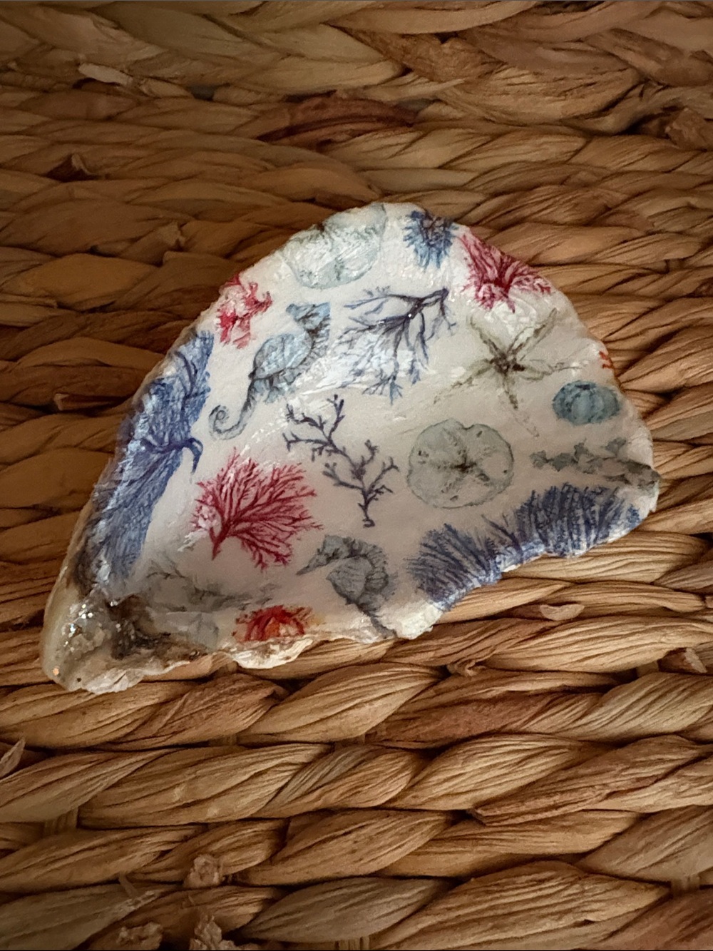 Hand Crafted Coastal Shell Tray with Sea Horse Coral and Sand dollar